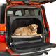 Image for article titled I Need A Cheap Car For My Big Dog And Fun Activities! What Car Should I Buy?